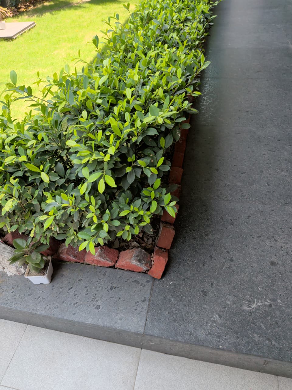 200 Sq. Mtr. Kothi for Sale in Sector 52 Noida | Prime Residential Property - Photo 7