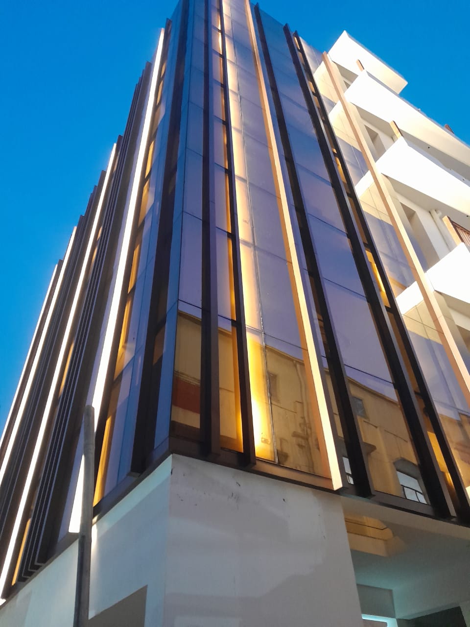 FOR SALE 250 MTR BUILDING IN SEC - 7 NOIDA