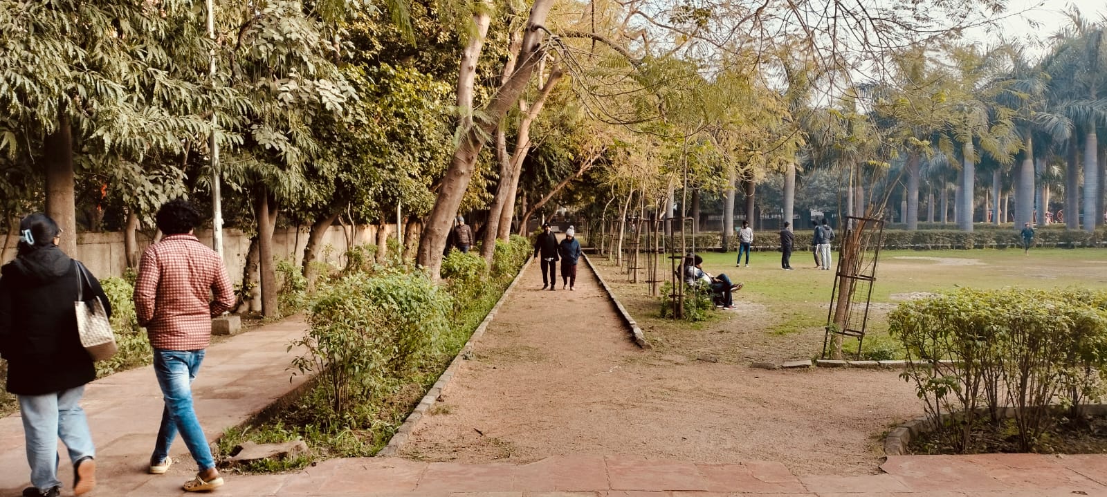 Residential Plot in Noida Sector 14 Noida - Photo 2